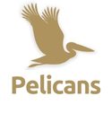 pelicans
